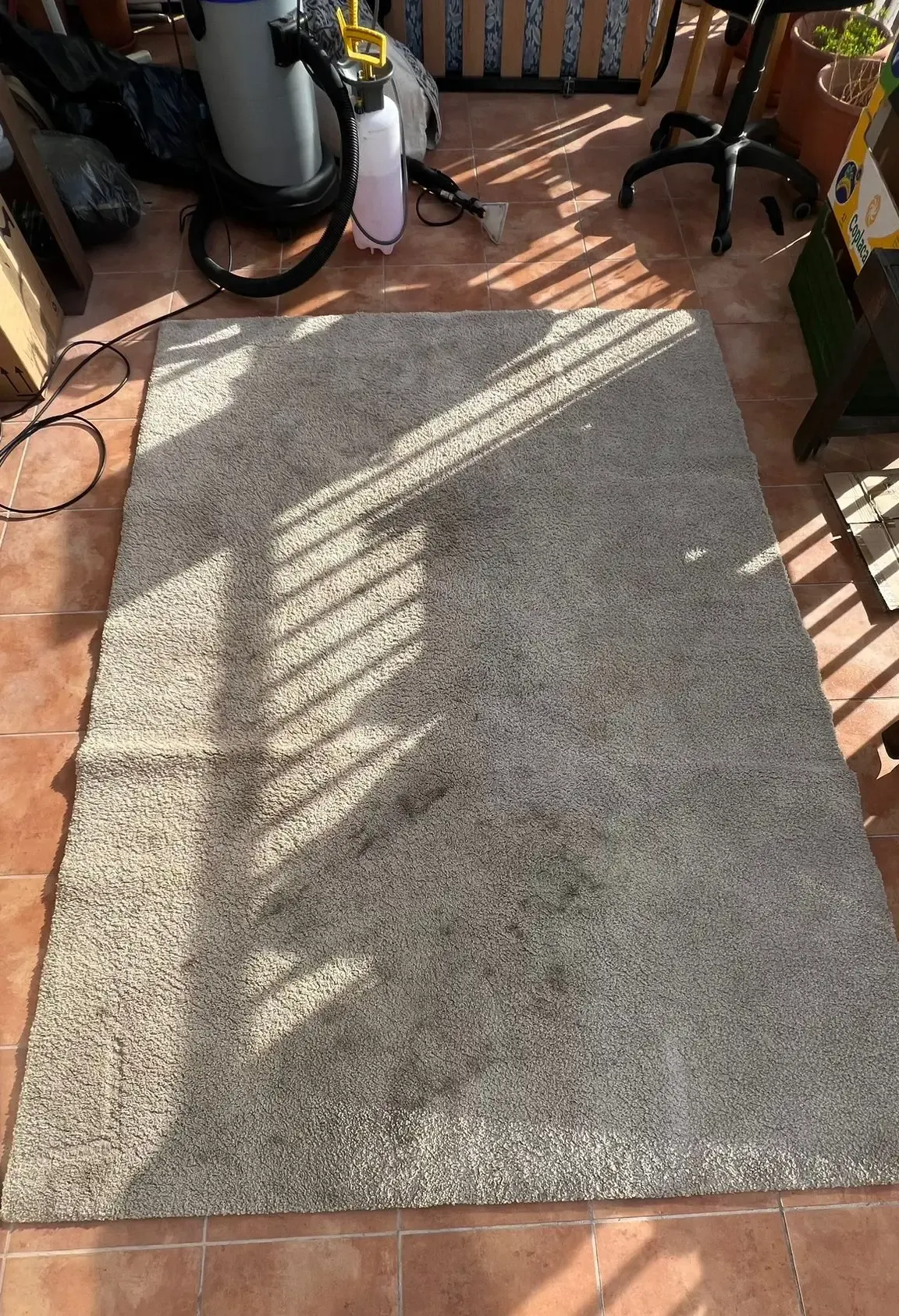 imgi_42_tapete1.webp imgi_42_tapete1.webp